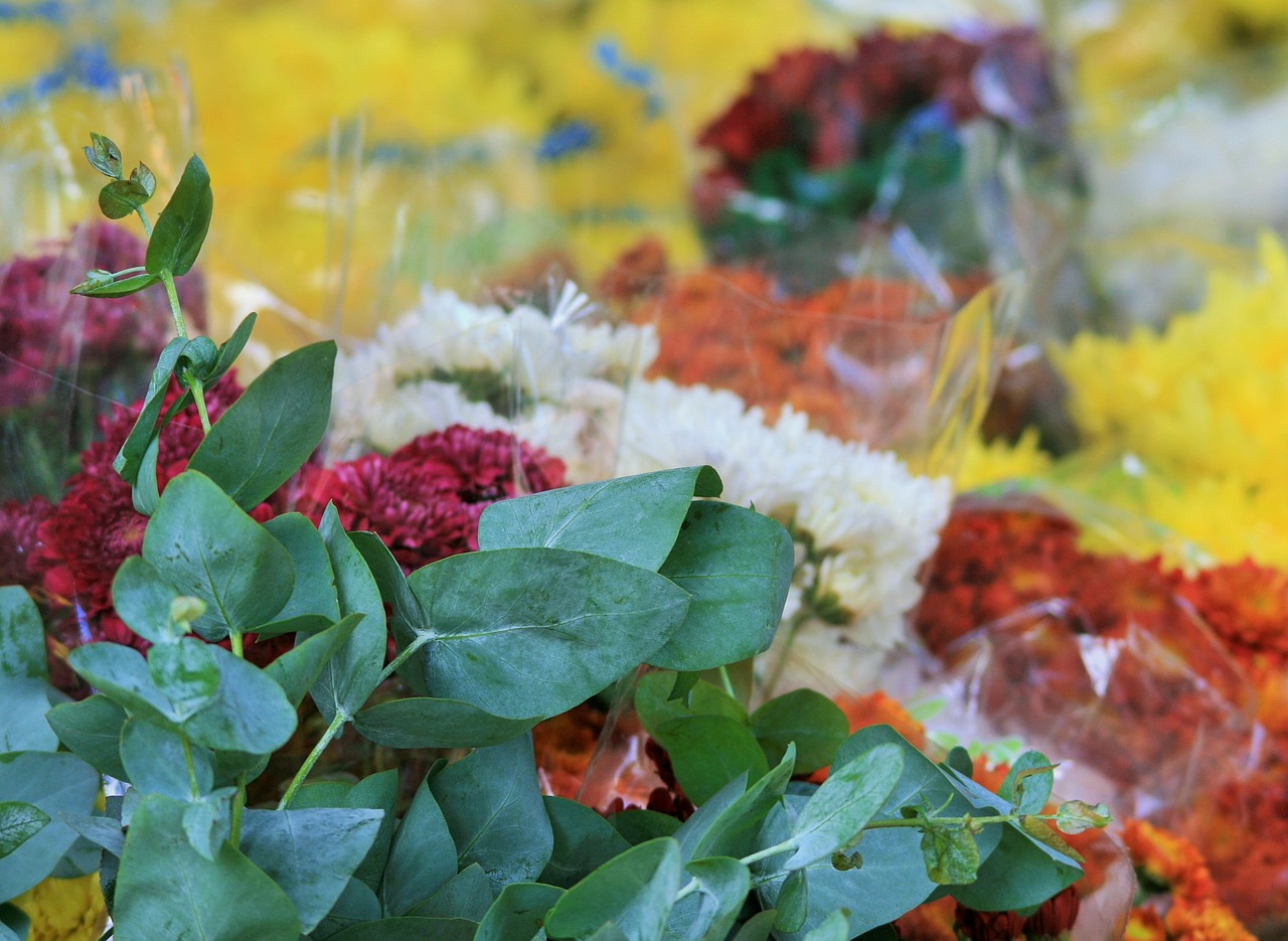 Pachnący prezent – kwiaty na zamówienie. Kwiaciarnie w Szczecinie