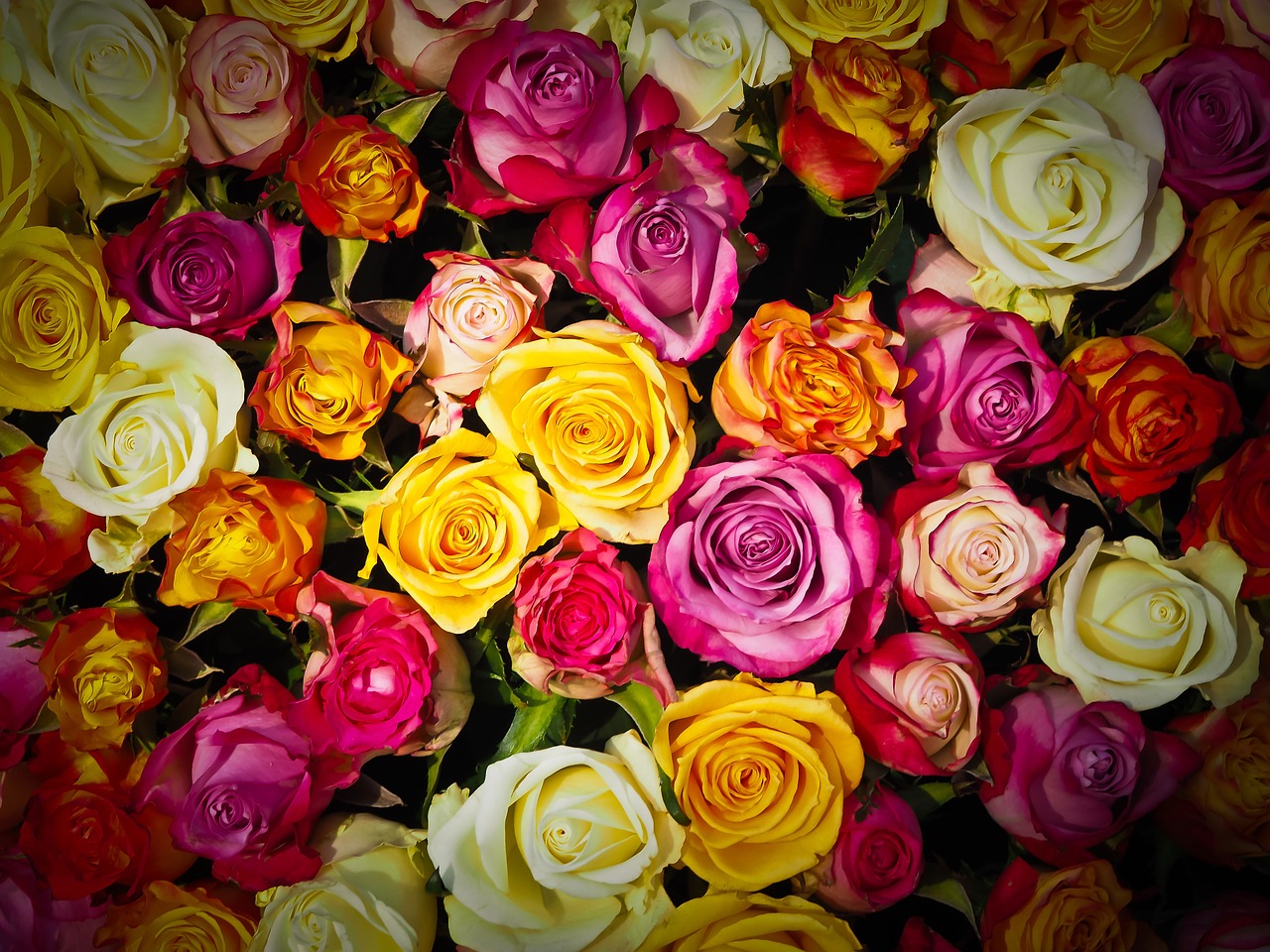 Imieninowa niespodzianka – przesyłki kwiatowe. Szybka dostawa kwiatów – Kwiaciarnia Olsztyn