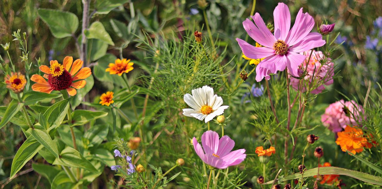 5 sposobów na stworzenie pięknego ogrodu kwiatowego